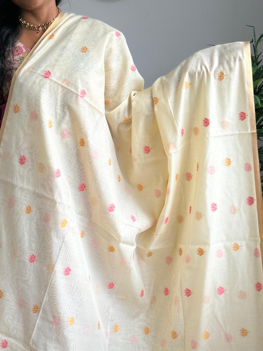 WhatsApp Image 2026-02-23 at 11