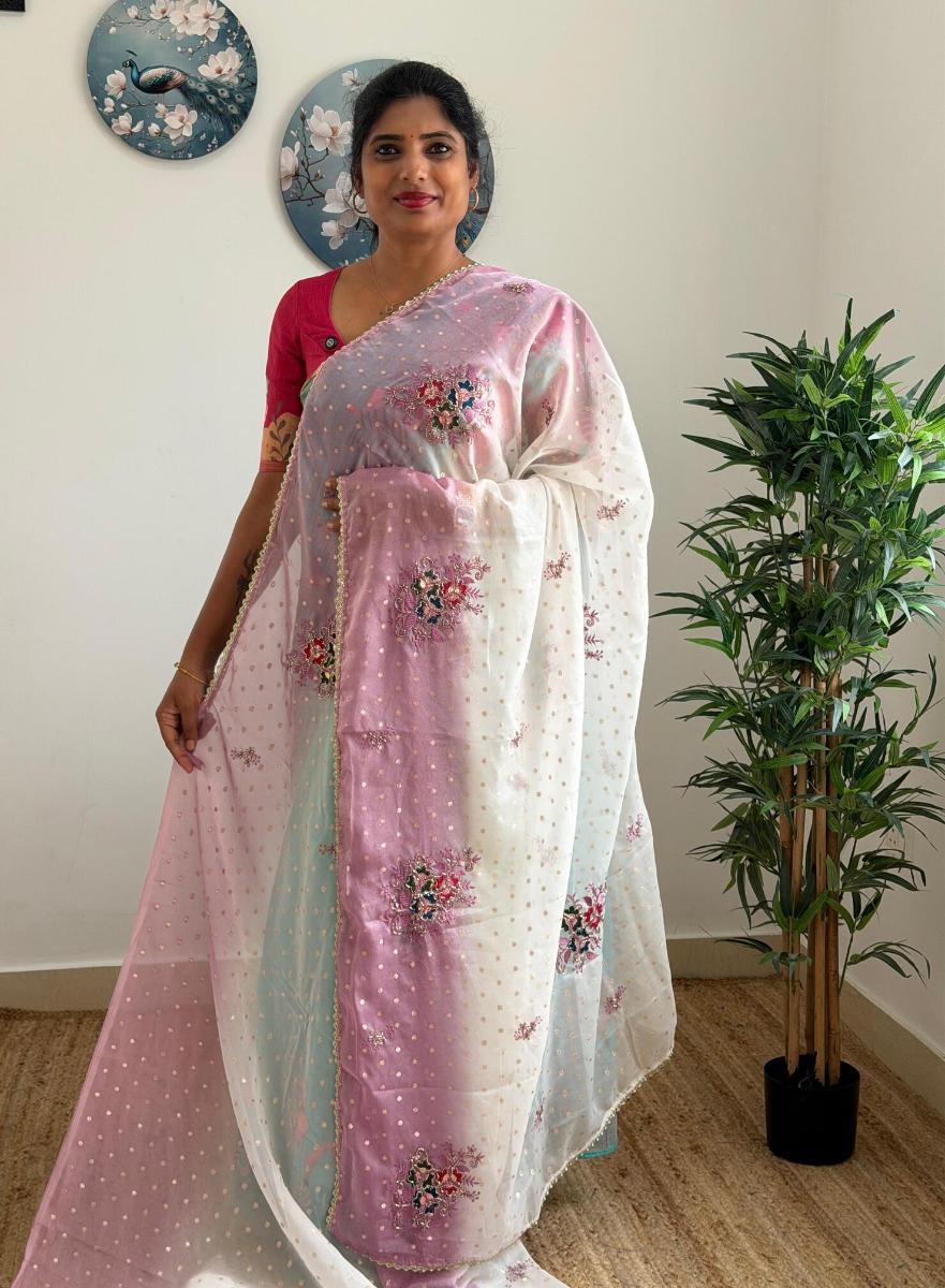 WhatsApp Image 2026-02-17 at 2