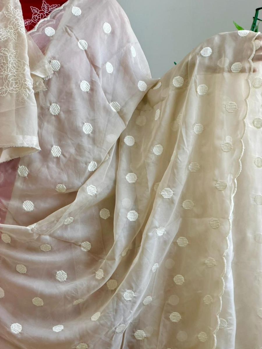 WhatsApp Image 2026-03-05 at 12