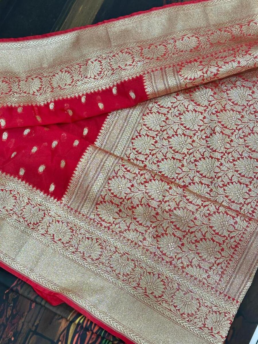 WhatsApp Image 2026-02-25 at 5