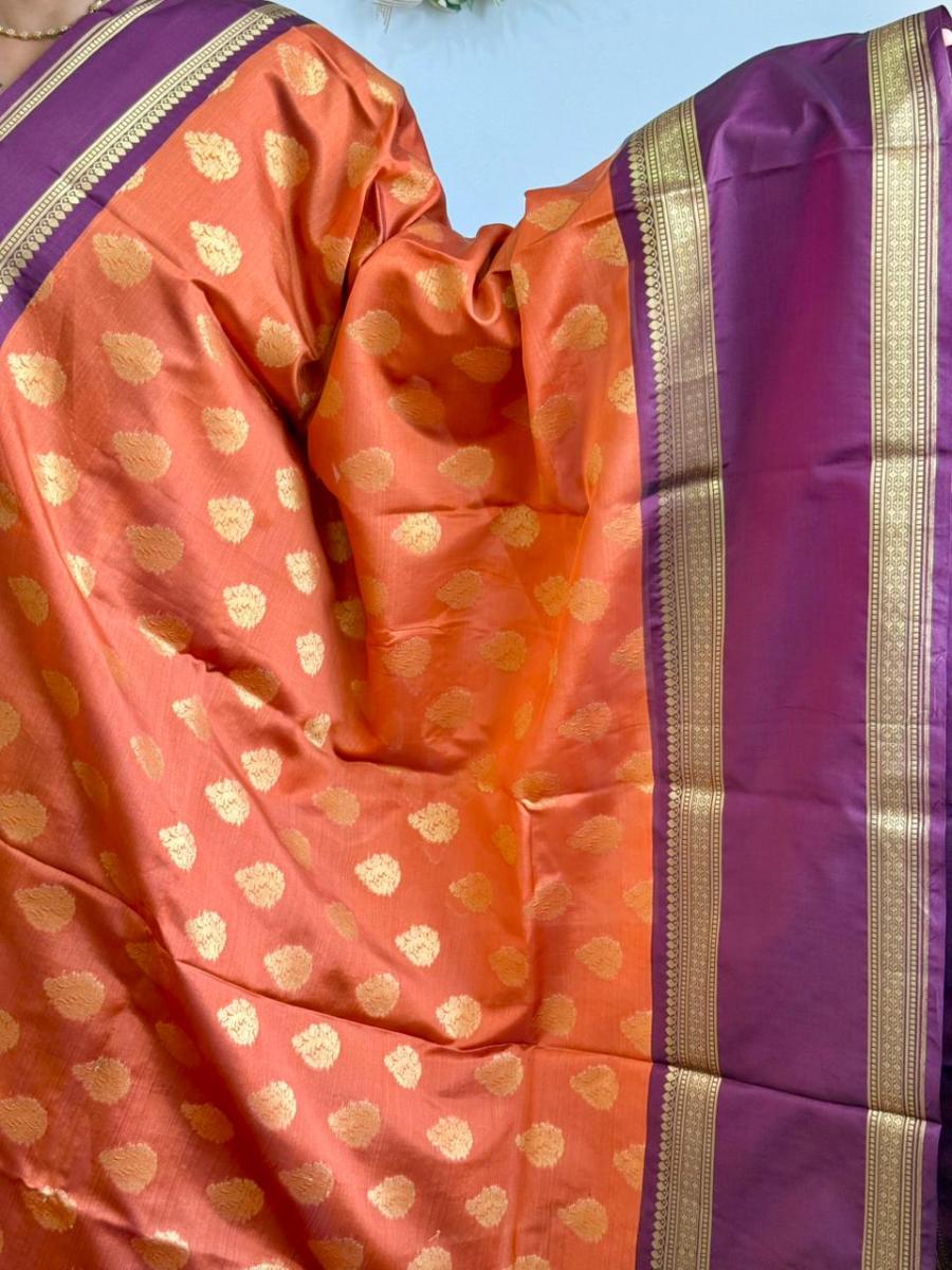 WhatsApp Image 2026-02-13 at 12