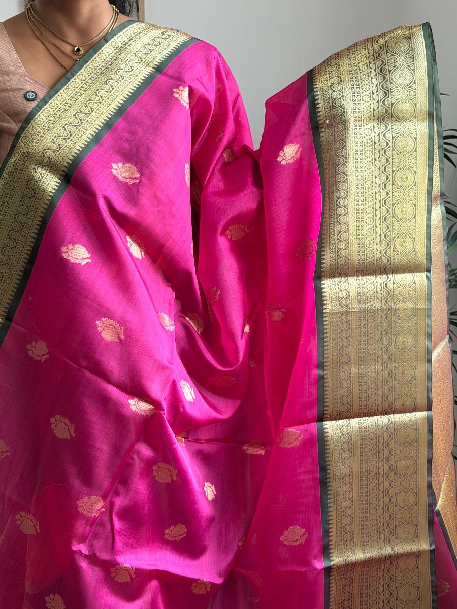 WhatsApp Image 2026-04-10 at 11