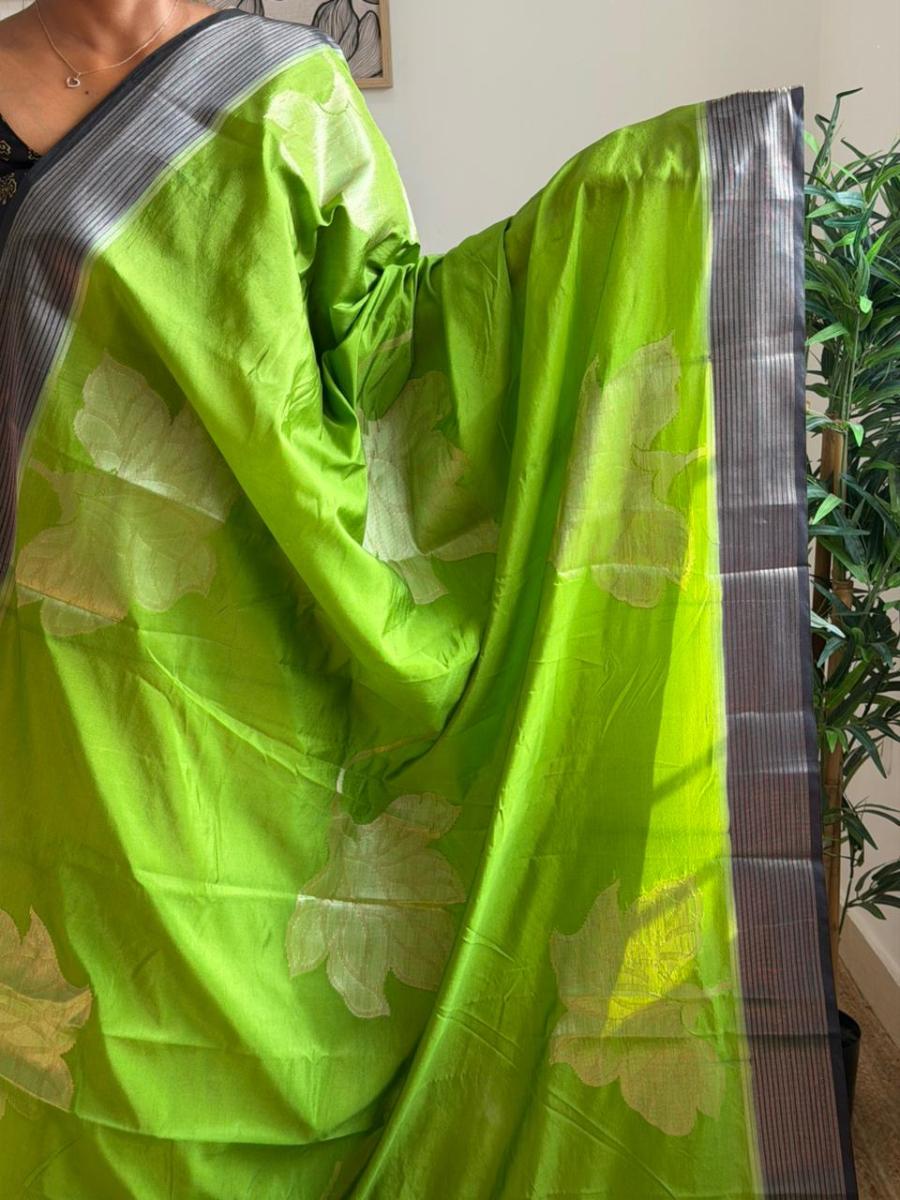 WhatsApp Image 2026-02-26 at 10