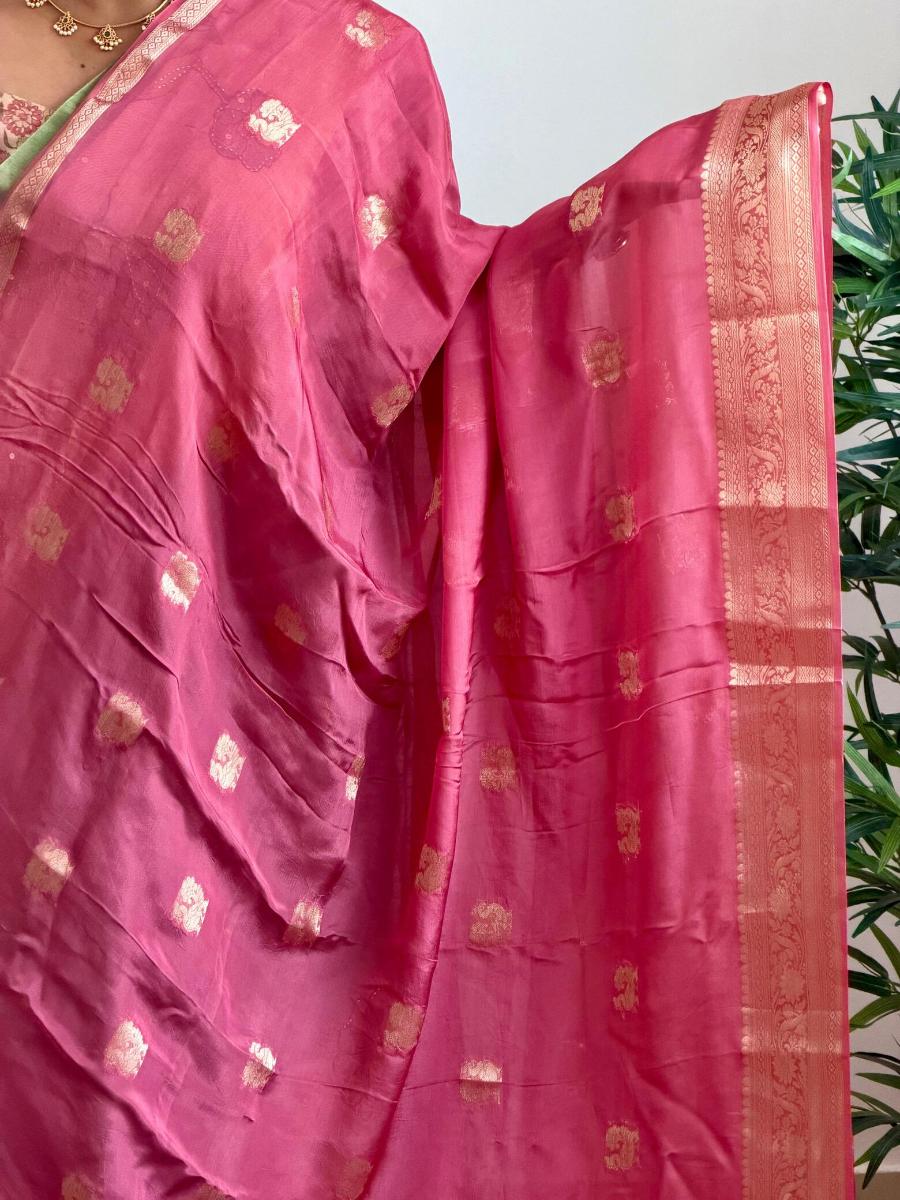 WhatsApp Image 2026-03-03 at 4