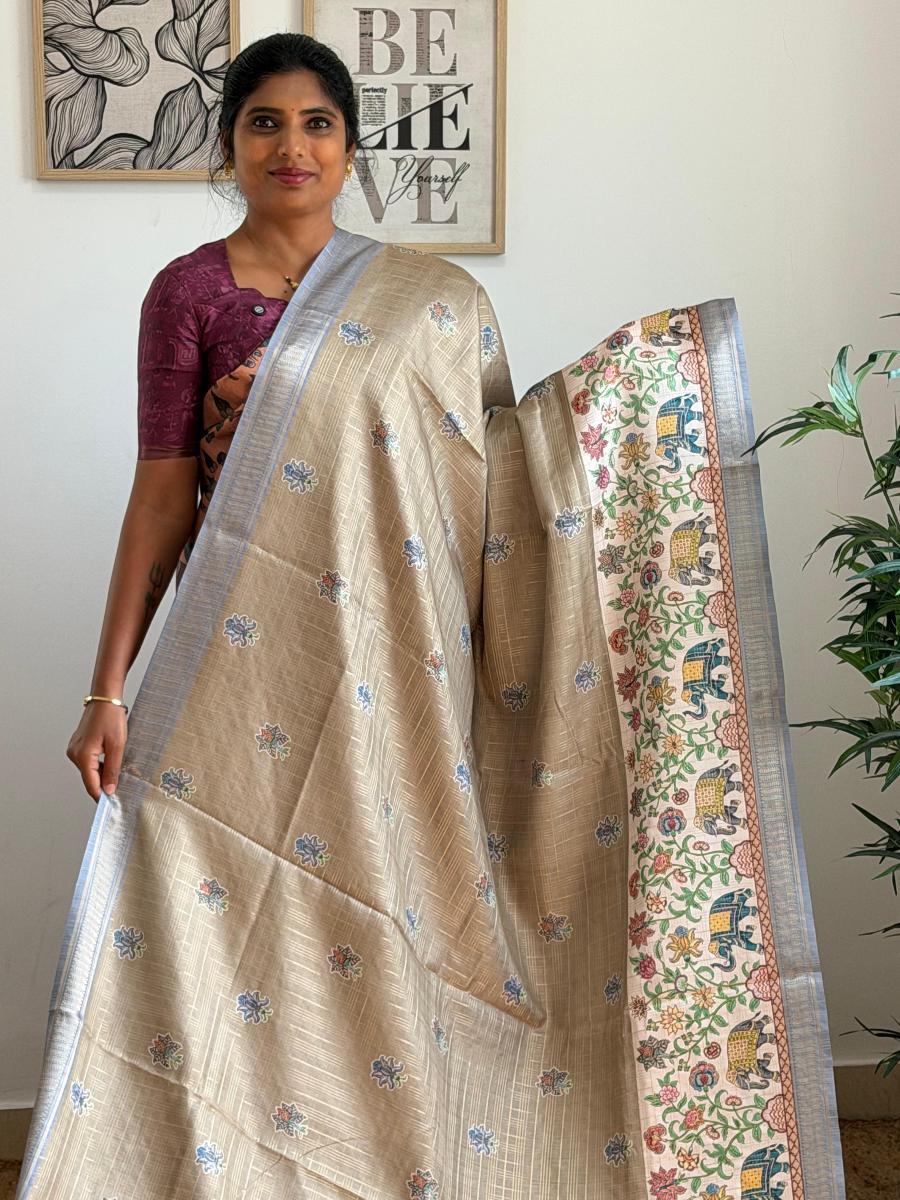 Chenoori Silk  