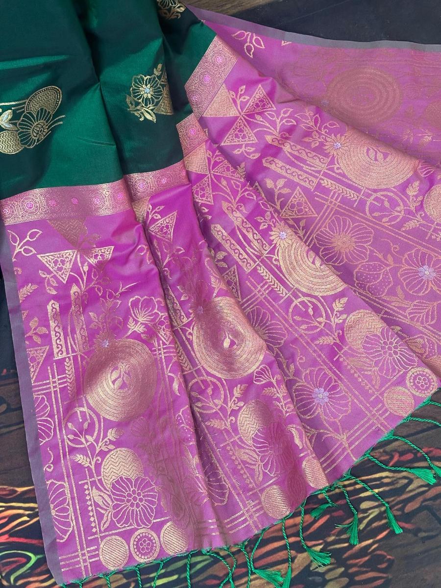 WhatsApp Image 2026-02-24 at 5