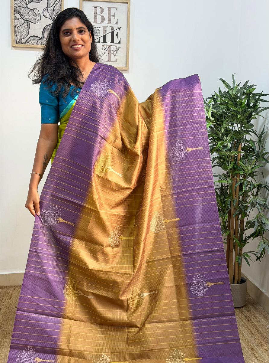 Chenoori Silk 