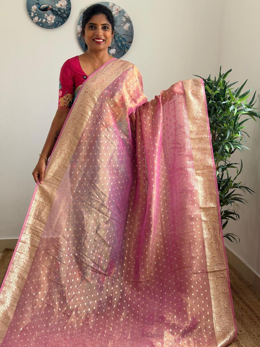 WhatsApp Image 2026-02-17 at 2