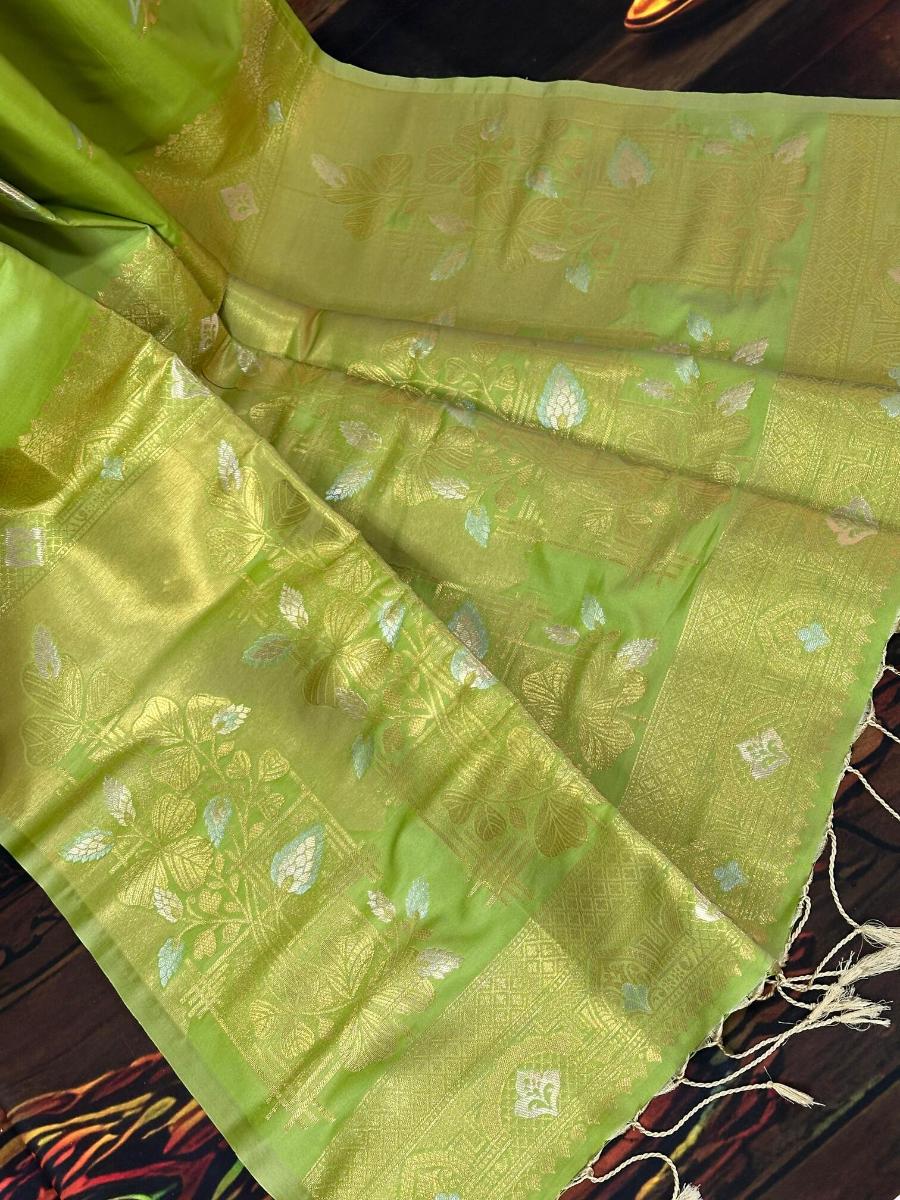 WhatsApp Image 2026-02-18 at 5