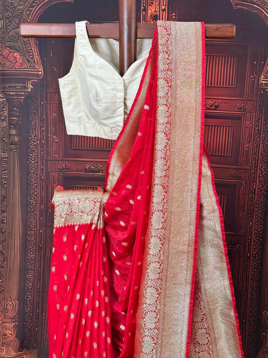 WhatsApp Image 2026-02-25 at 5