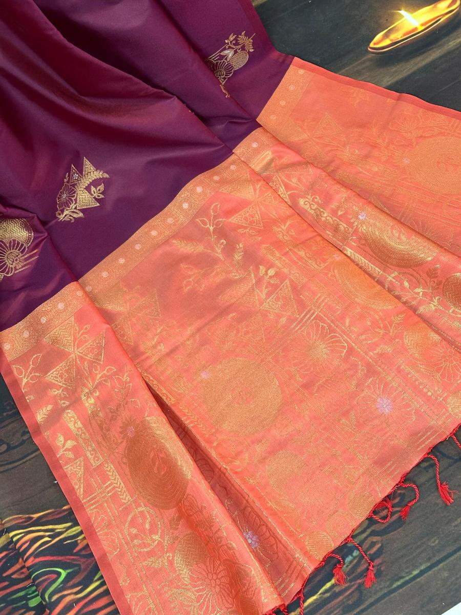 WhatsApp Image 2026-02-24 at 53